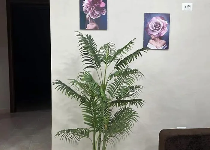 Sogno Vesuviano Appartement Torre Annunziata