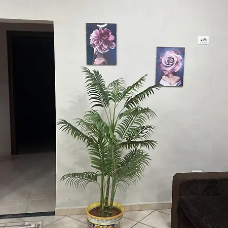 Sogno Vesuviano Apartment Torre Annunziata